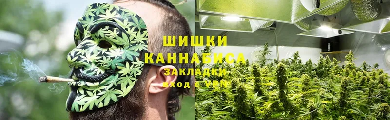 Каннабис SATIVA & INDICA  купить   Москва 